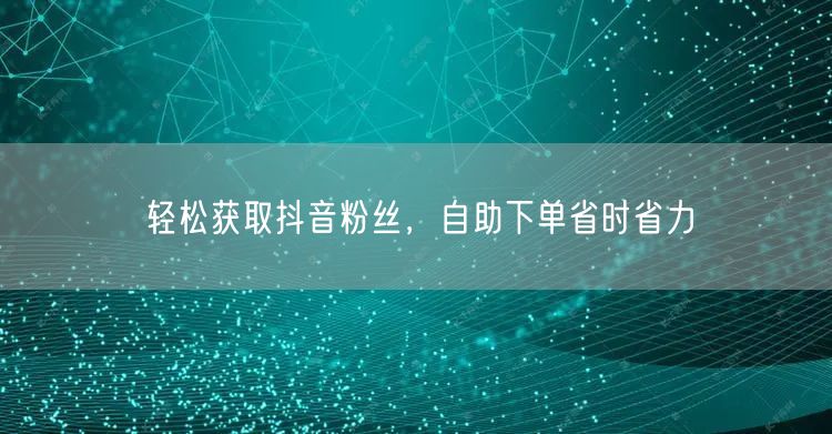 轻松获取抖音粉丝，自助下单省时省力
