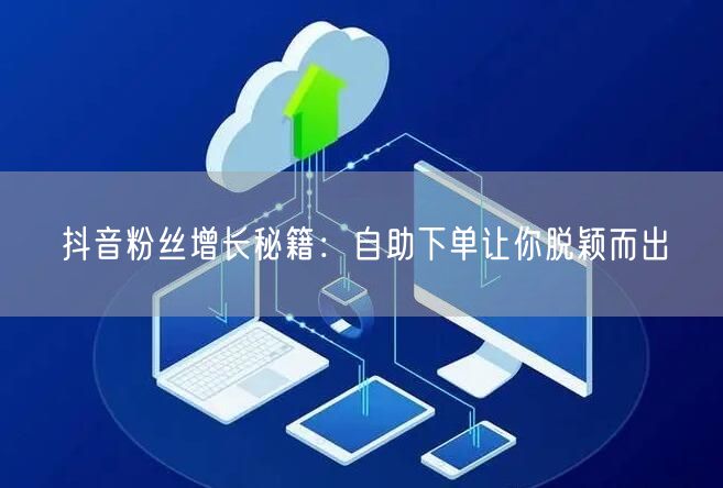 抖音粉丝增长秘籍：自助下单让你脱颖而出