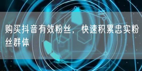 购买抖音有效粉丝，快速积累忠实粉丝群体