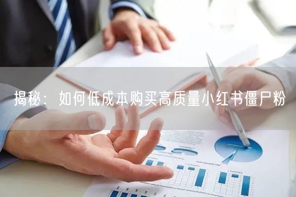 揭秘：如何低成本购买高质量小红书僵尸粉